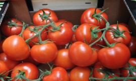 العراق يقرر إيقاف استيراد الطماطم بجميع المنافذ الحدودية